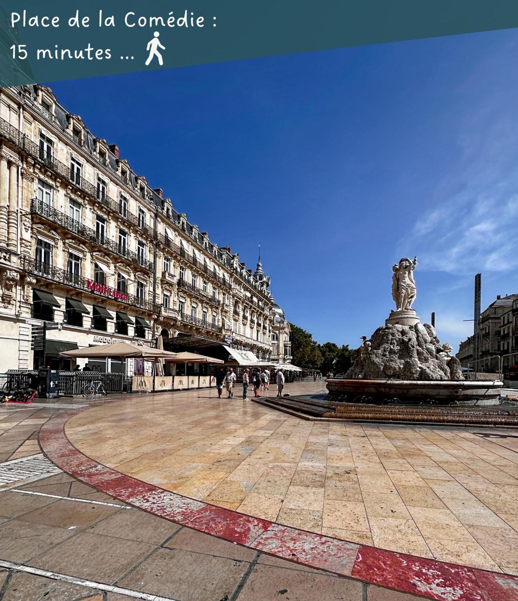 Appartement Entier Cosy Avec Balcon - Centre Montpellier Eksteriør bilde