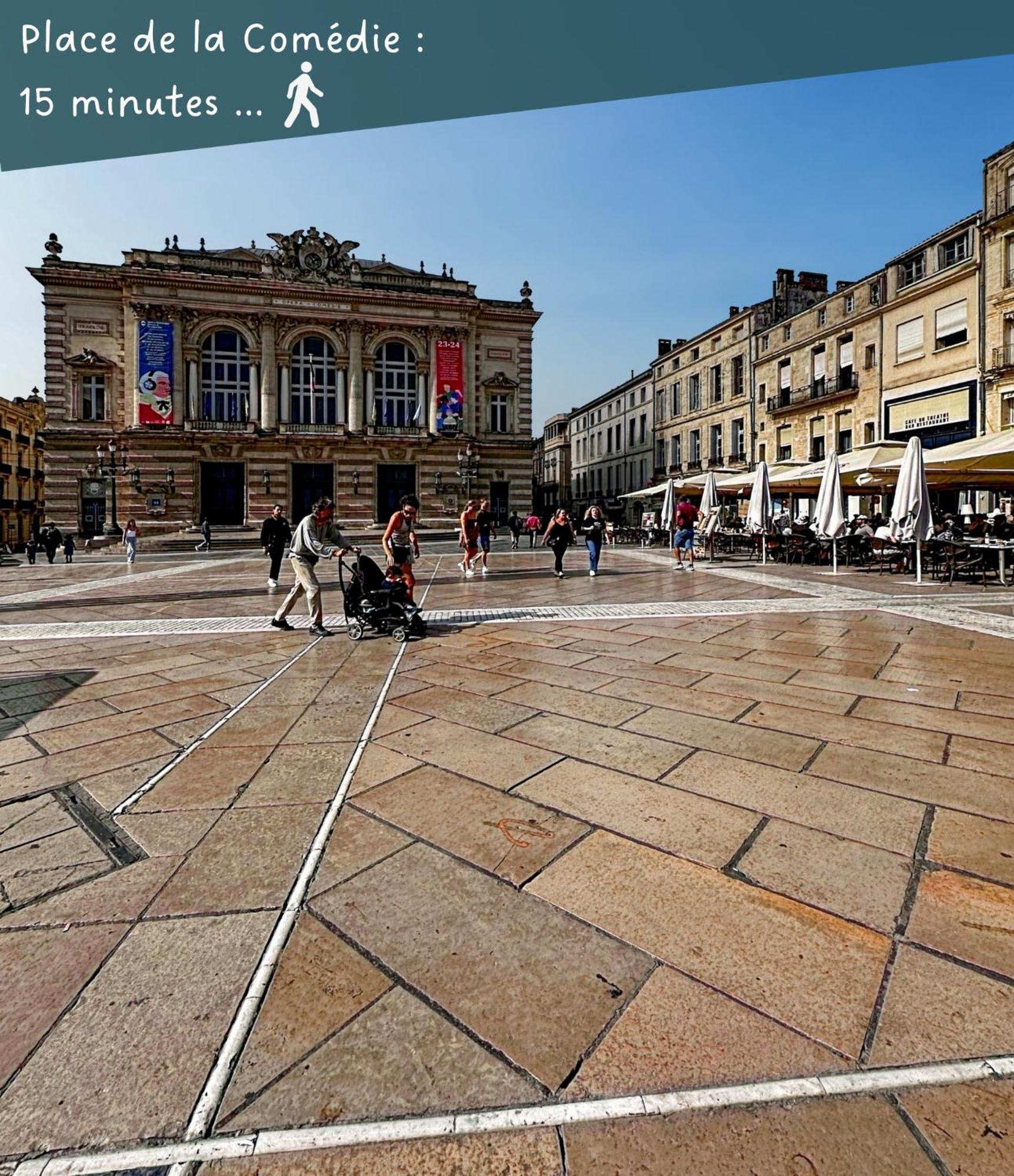 Appartement Entier Cosy Avec Balcon - Centre Montpellier Eksteriør bilde