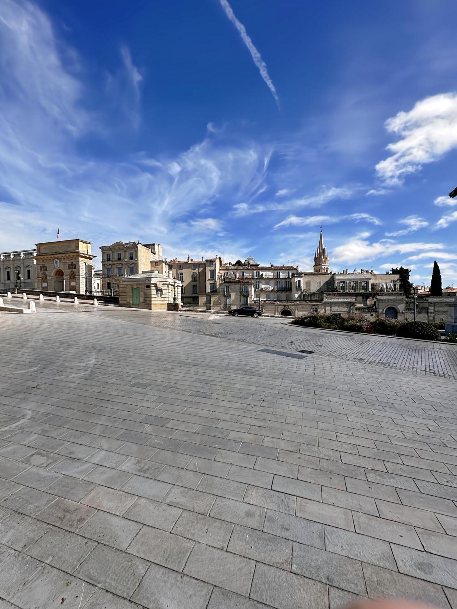 Appartement Entier Cosy Avec Balcon - Centre Montpellier Eksteriør bilde